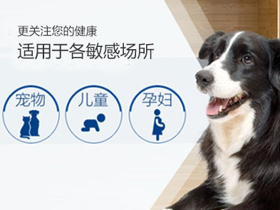 北京滅跳蚤公司，殺跳蚤公司哪家好