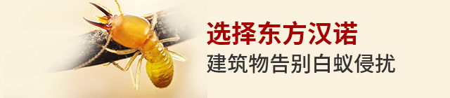 專業(yè)滅白蟻